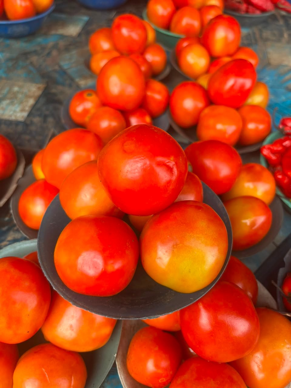 Tomato